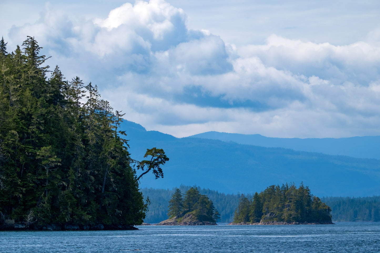 Cruising the West Coast Waterways | July 10 - 15, 2026 | Activity Level 3