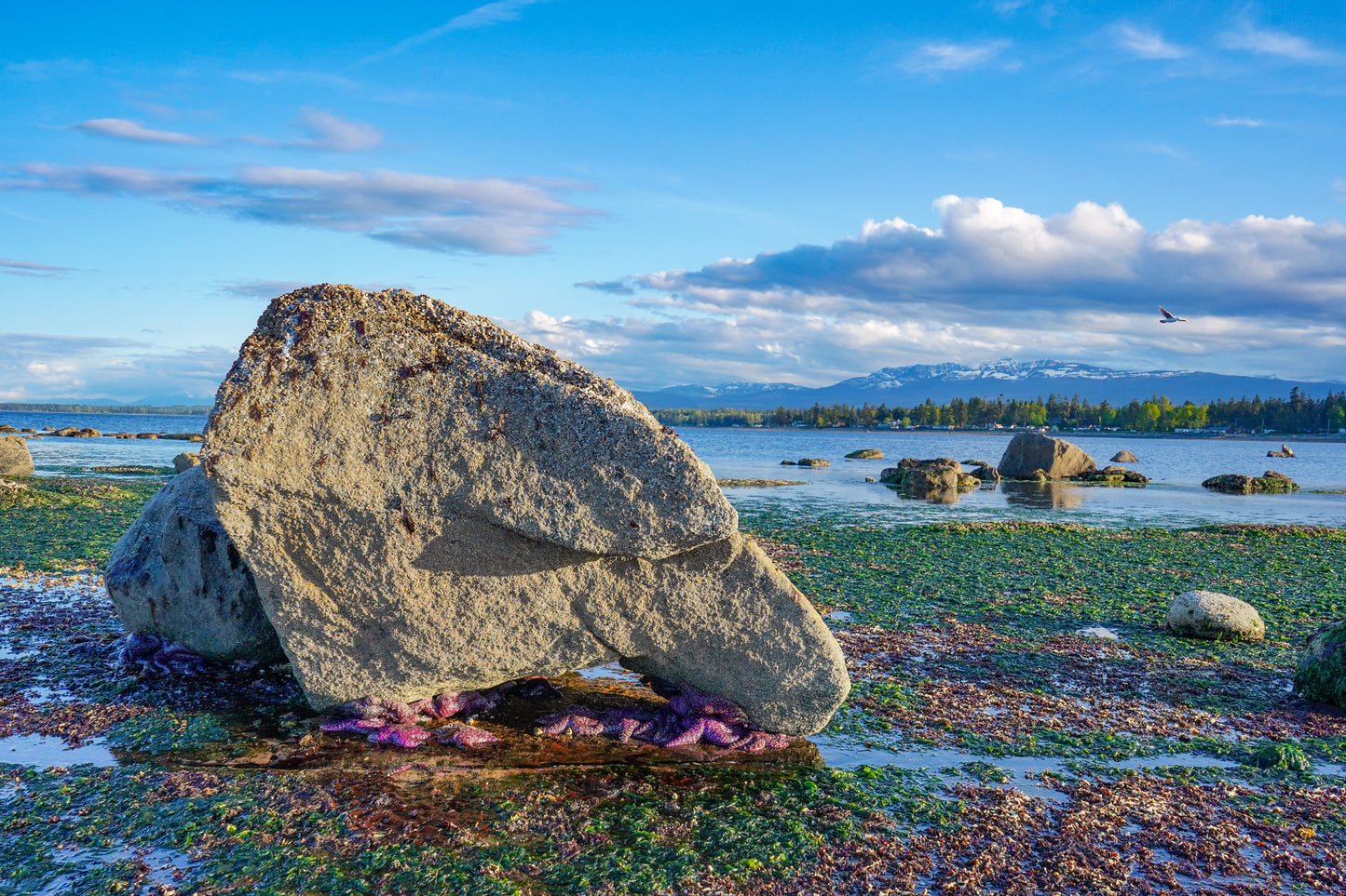 BC Wildlife Adventure | August 2026 TBA | Activity Level 3