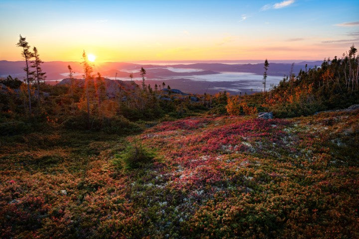 Autumn in Quebec | October 6 - 13 | Activity Level 2
