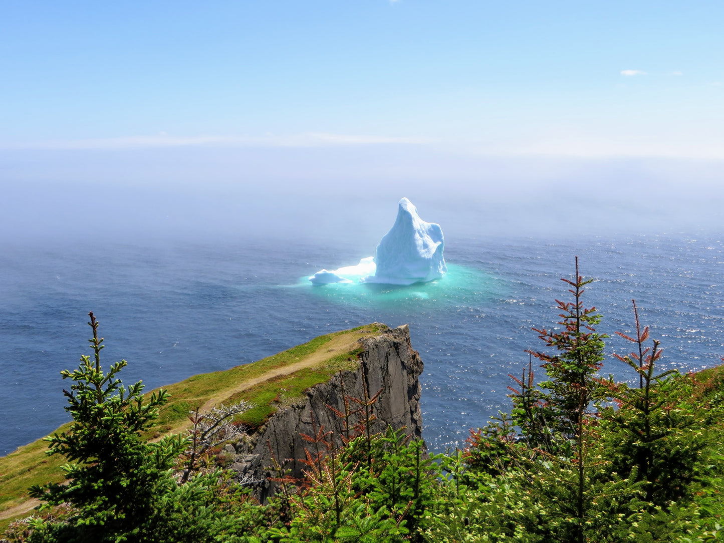 Newfoundland: An East Coast Adventure | June 8 - 23, 2027 | Activity Level 2