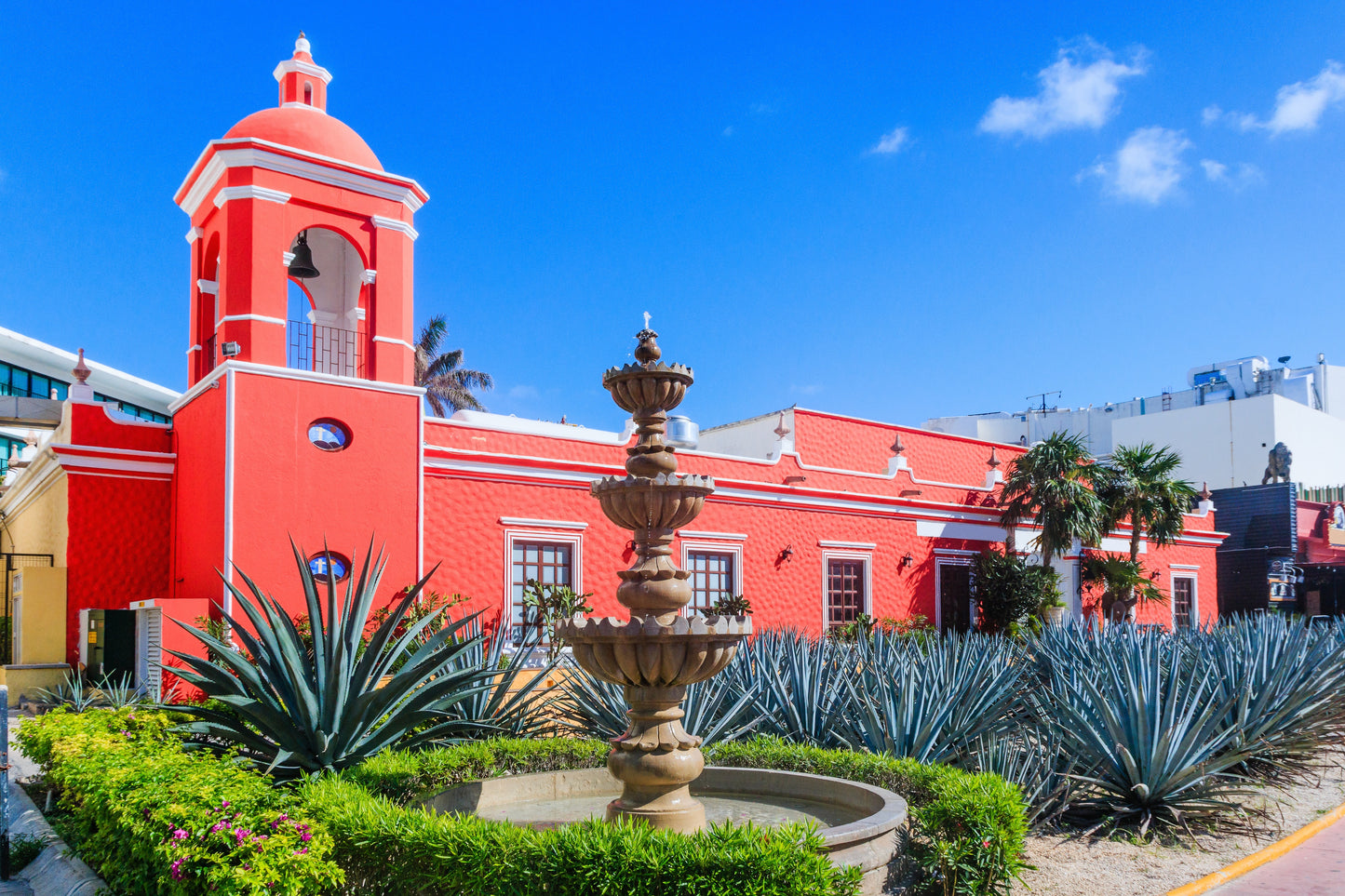 Riviera Maya Winter Escape | January 5 - 14, 2027 | Activity Level 3