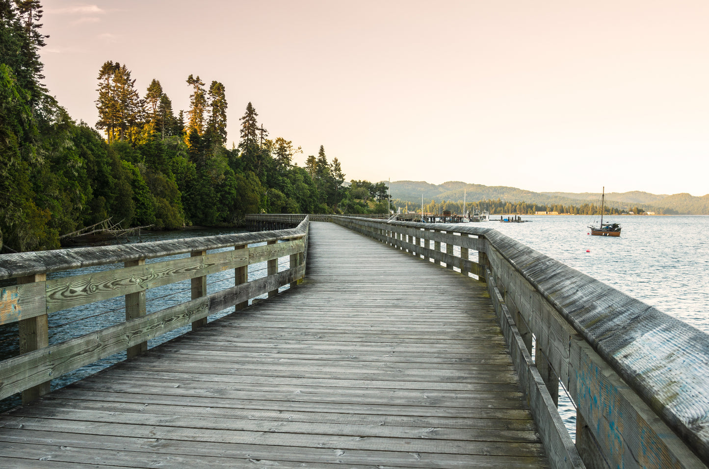 Coastal Retreat: Victoria & Sooke | November 12 - 16, 2026 | Activity Level 3