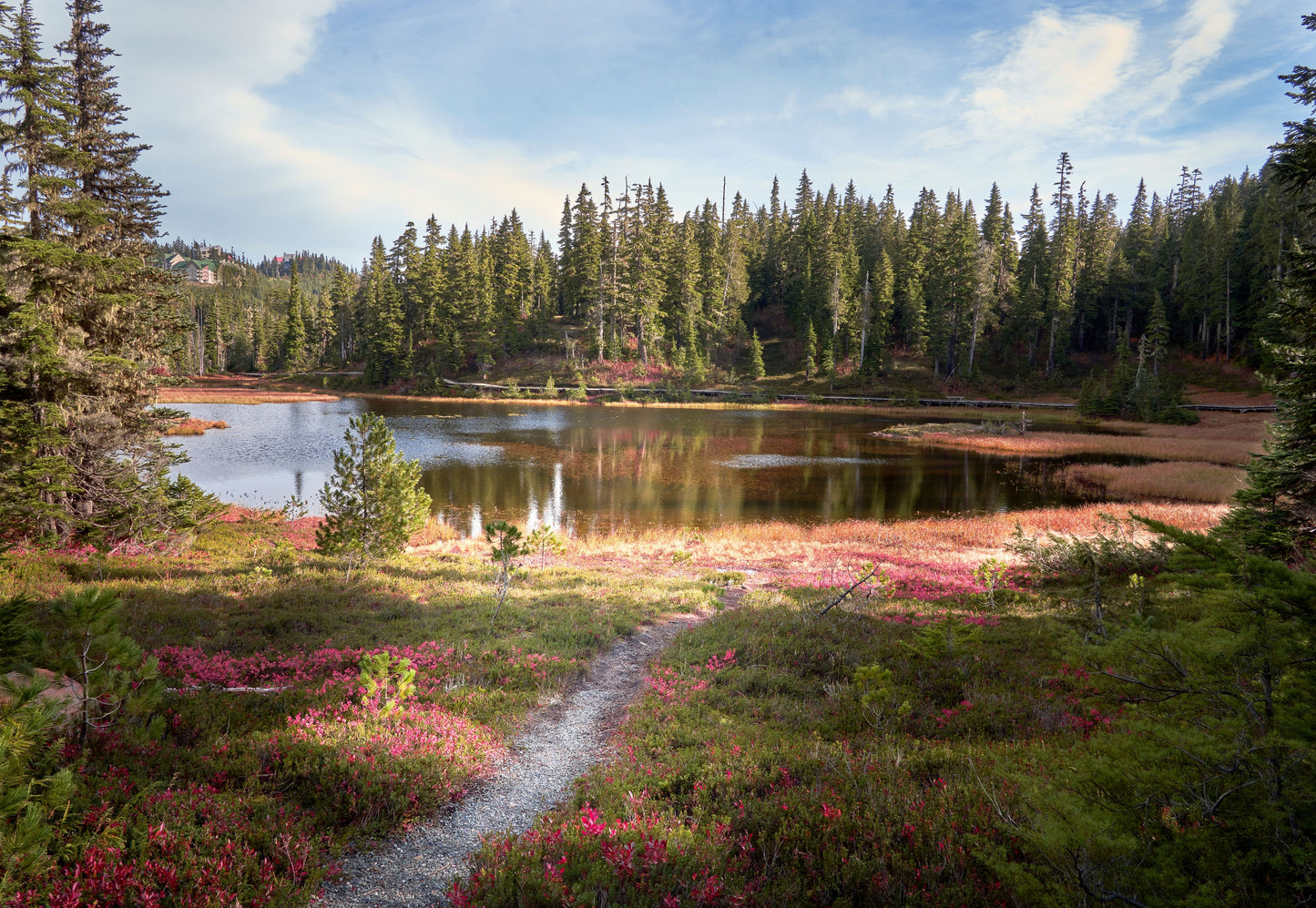 Outer Coast Adventure: Bamfield & Friendly Cove | August 12 - 16, 2026 | Activity Level 3