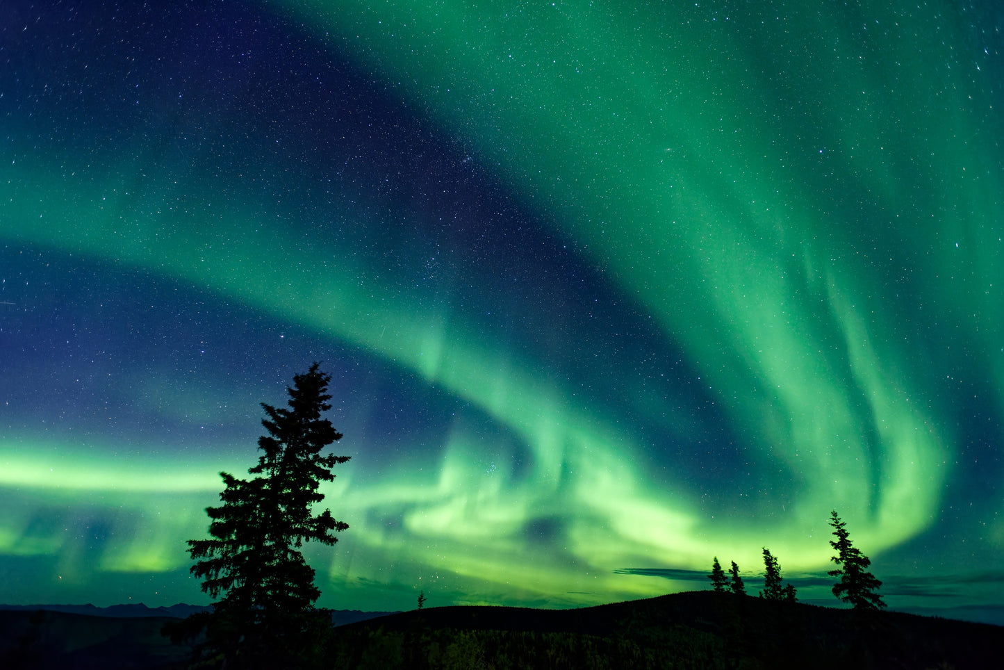 Yukon's Northern Lights | February 18 - 22, 2027 | Activity Level 2