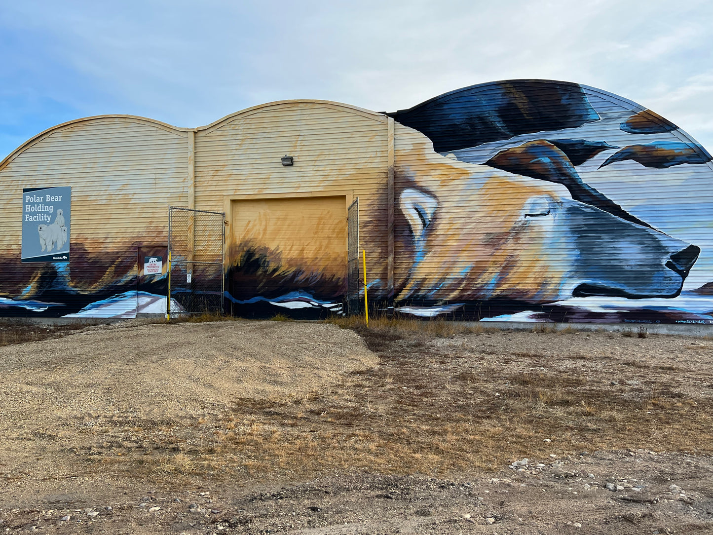 Polar Bears of Churchill | November 4 - 9 | Activity Level 2 | Booking deadline March 31