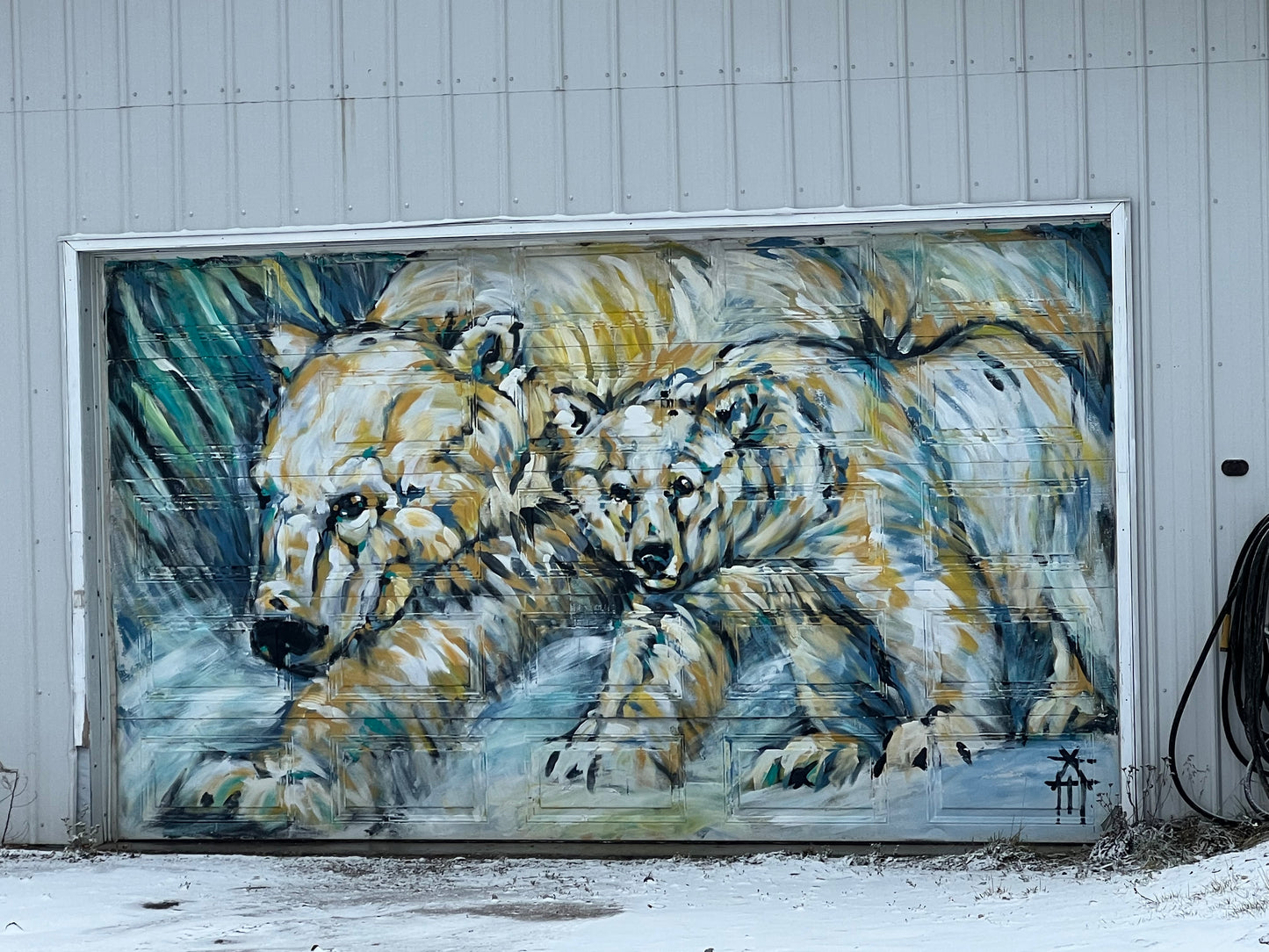 Polar Bears of Churchill | November 4 - 9 | Activity Level 2 | Booking deadline March 31