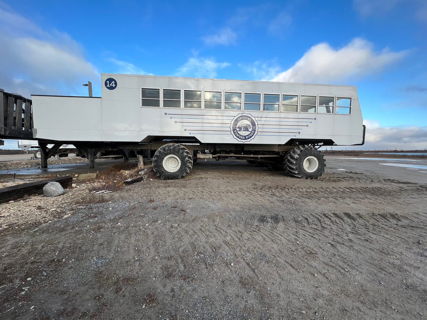 Polar Bears of Churchill | November 4 - 9 | Activity Level 2 | Booking deadline March 31