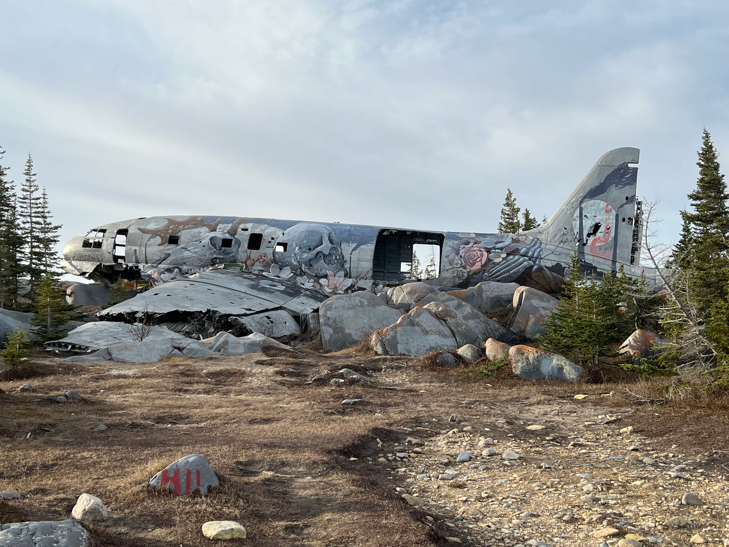 Polar Bears of Churchill | November 4 - 9 | Activity Level 2 | Booking deadline March 31