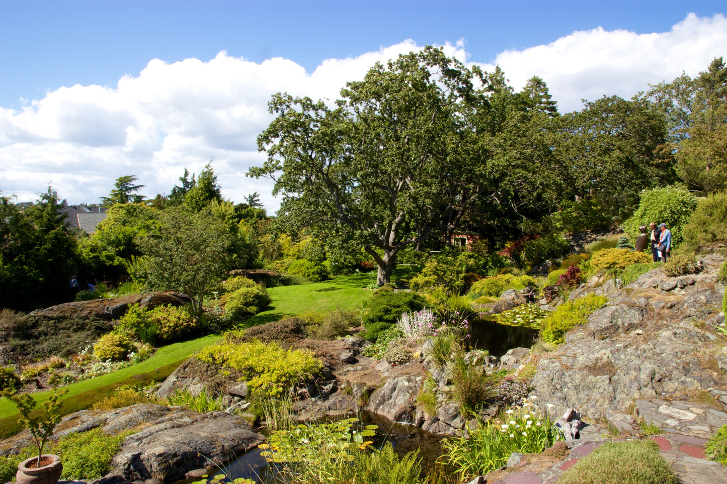 Spectacular Gardens of Victoria | June 2026 TBA | Activity Level 2