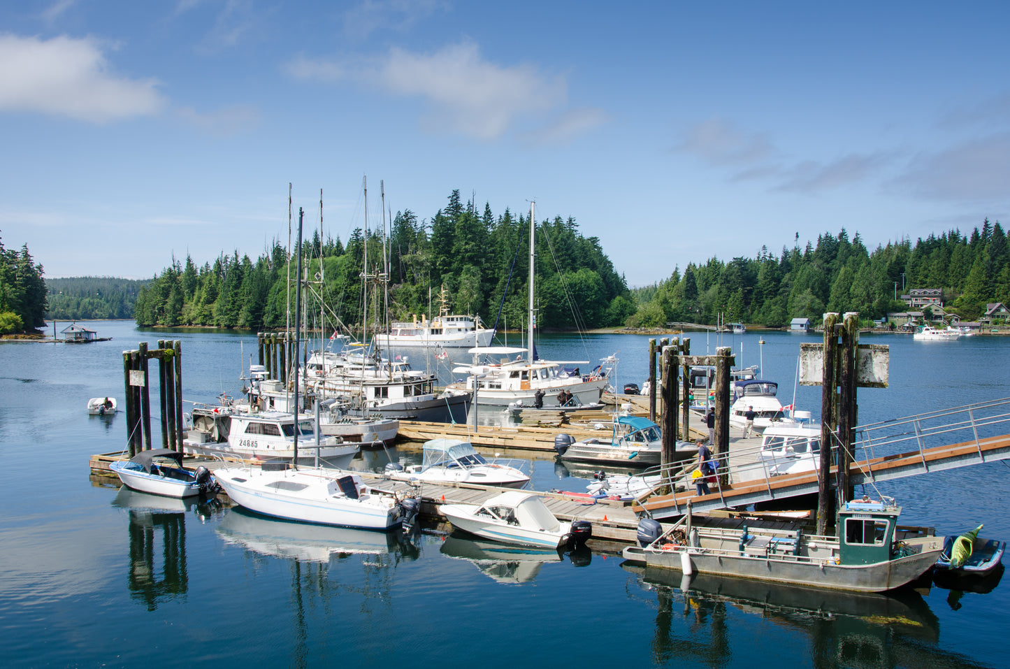 Outer Coast Adventure: Bamfield & Friendly Cove | August 12 - 16, 2026 | Activity Level 3