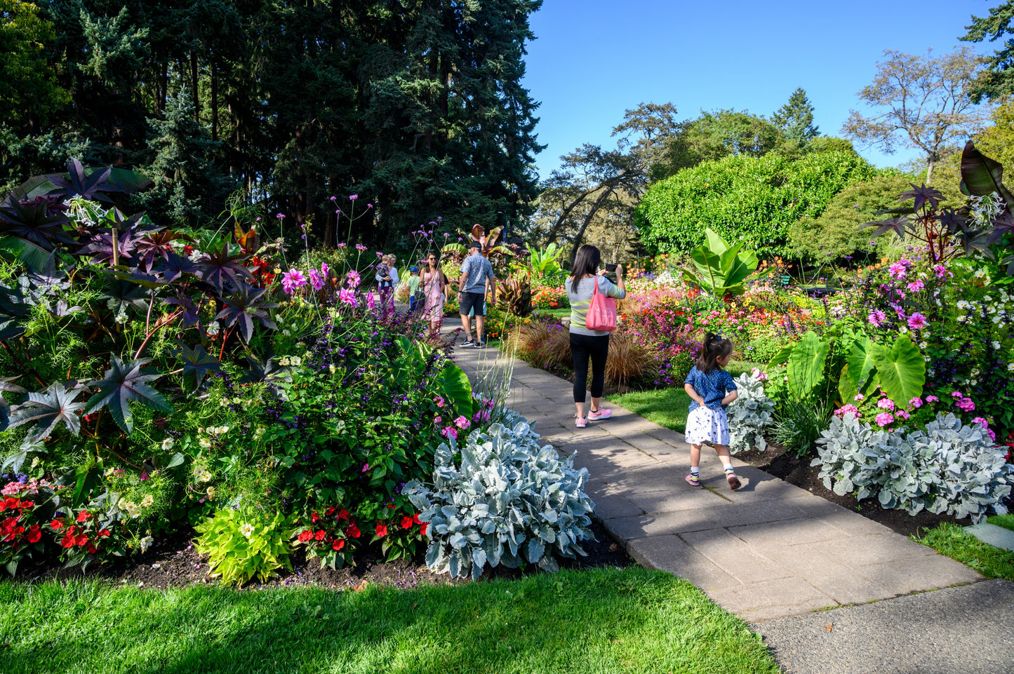 Spectacular Gardens of Victoria | June 2026 TBA | Activity Level 2