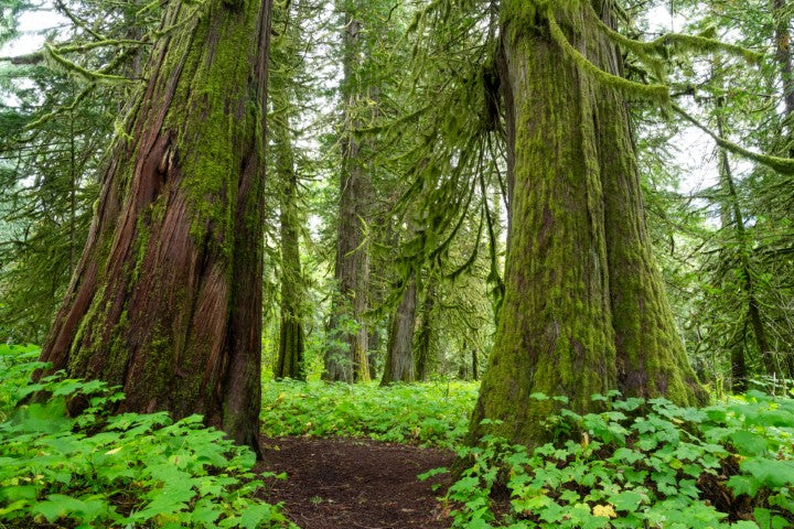 Discovery Coast Passage | September 18 - 22 | Activity Level 2