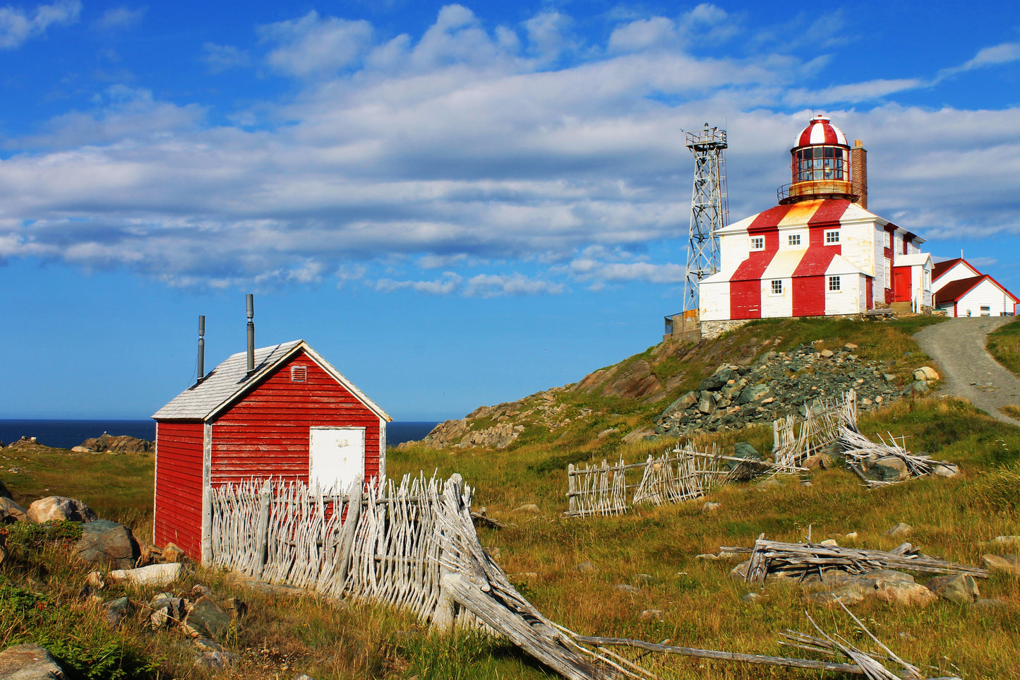 Newfoundland: An East Coast Adventure | June 8 - 23, 2027 | Activity Level 2