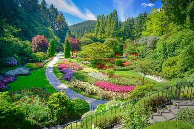 Spectacular Gardens of Victoria | June 2026 TBA | Activity Level 2