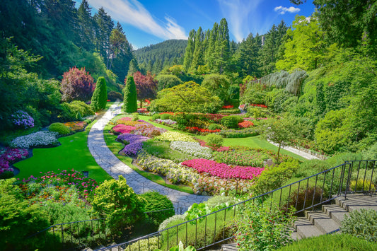 Spectacular Gardens of Victoria | June 2026 TBA | Activity Level 2
