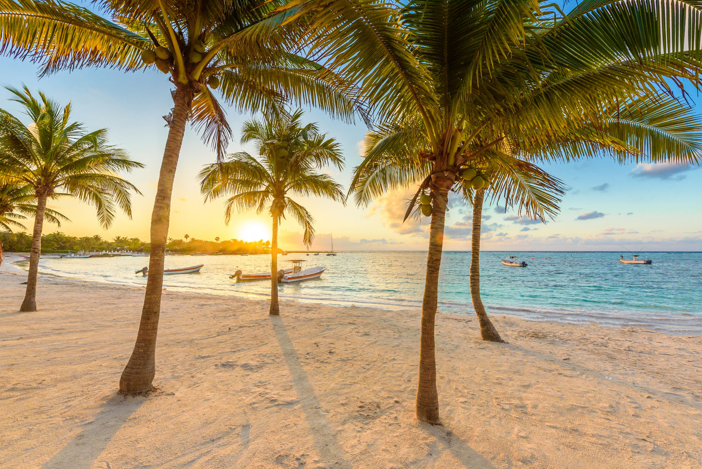 Riviera Maya Winter Escape | January 5 - 14, 2027 | Activity Level 3