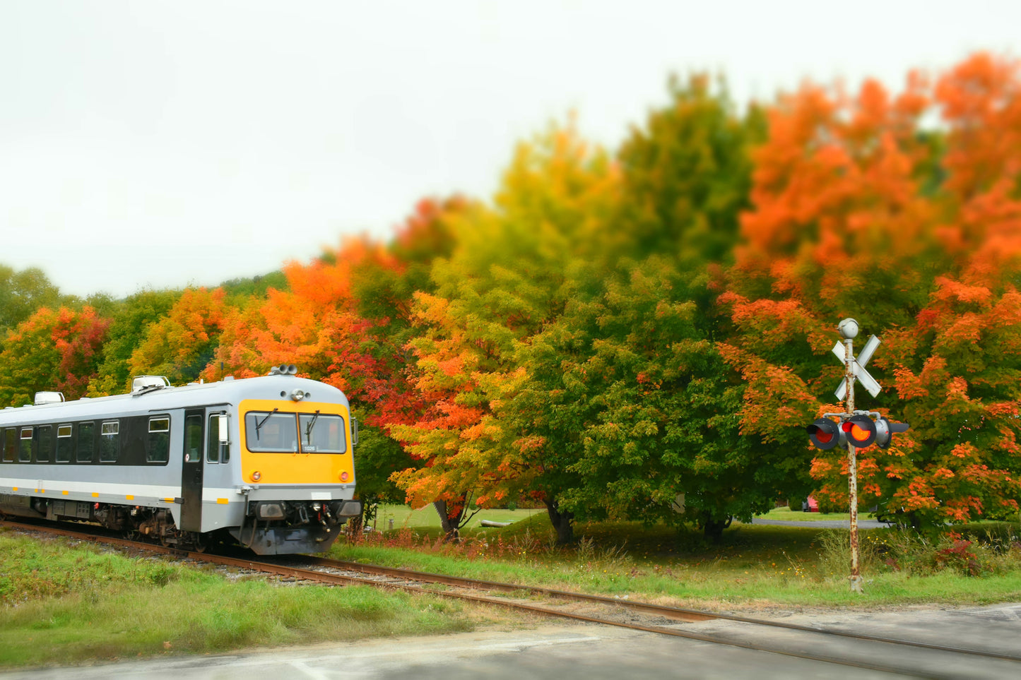 Autumn in Quebec | October 6 - 13 | Activity Level 2