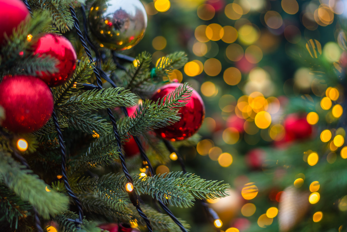 Christmas in Victoria | December 24 - 27, 2026 | Activity Level 1
