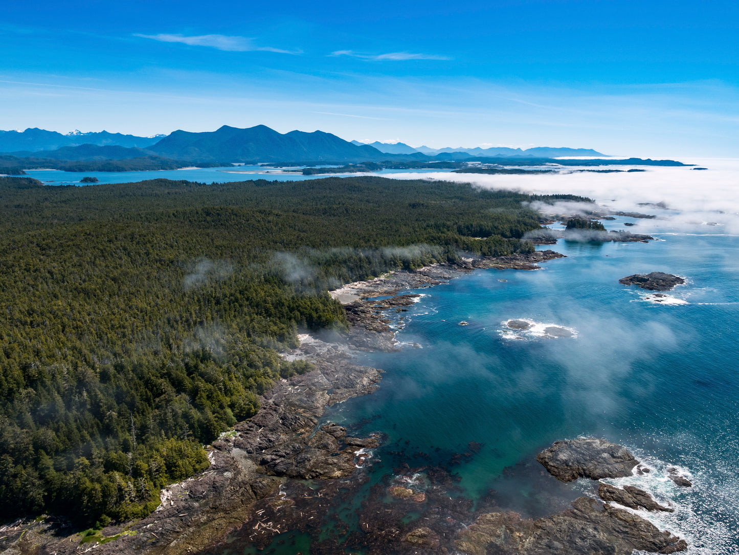 The Wild West Coast | June 8 - 12 | Activity Level 3