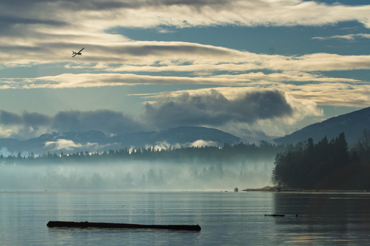 BC Wildlife Adventure | August 2026 TBA | Activity Level 3