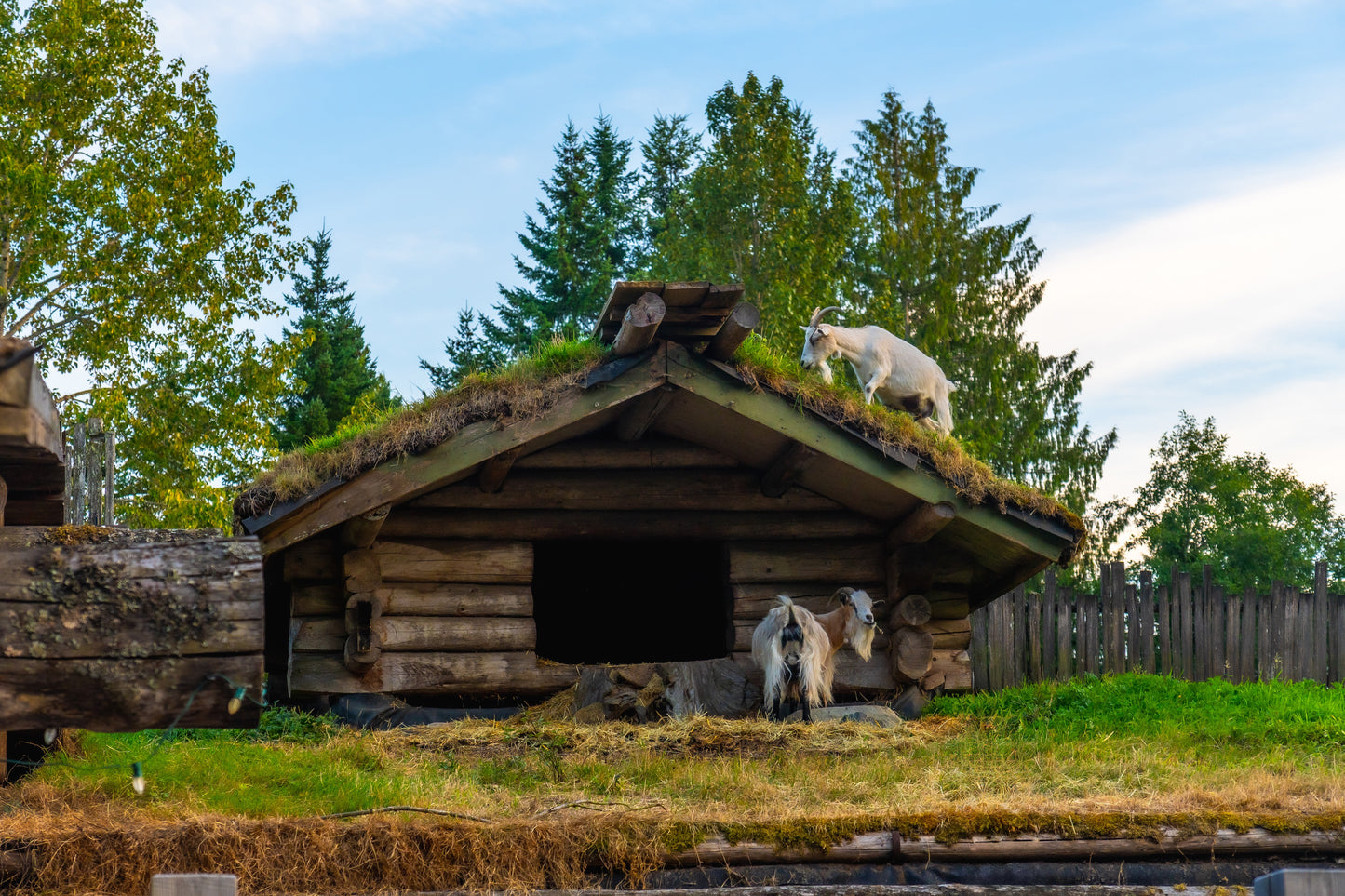 Wickaninnish Inn Experience | December 6 - 10, 2026 | Activity Level 3