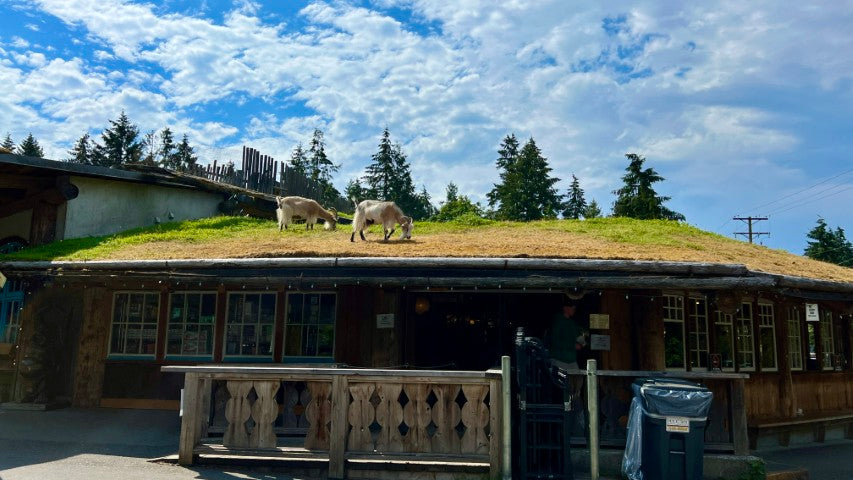 The Wild West Coast | June 8 - 12 | Activity Level 3