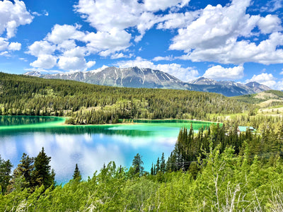 Yukon & the NWT | July 23 - August 3, 2026 | Activity Level 3