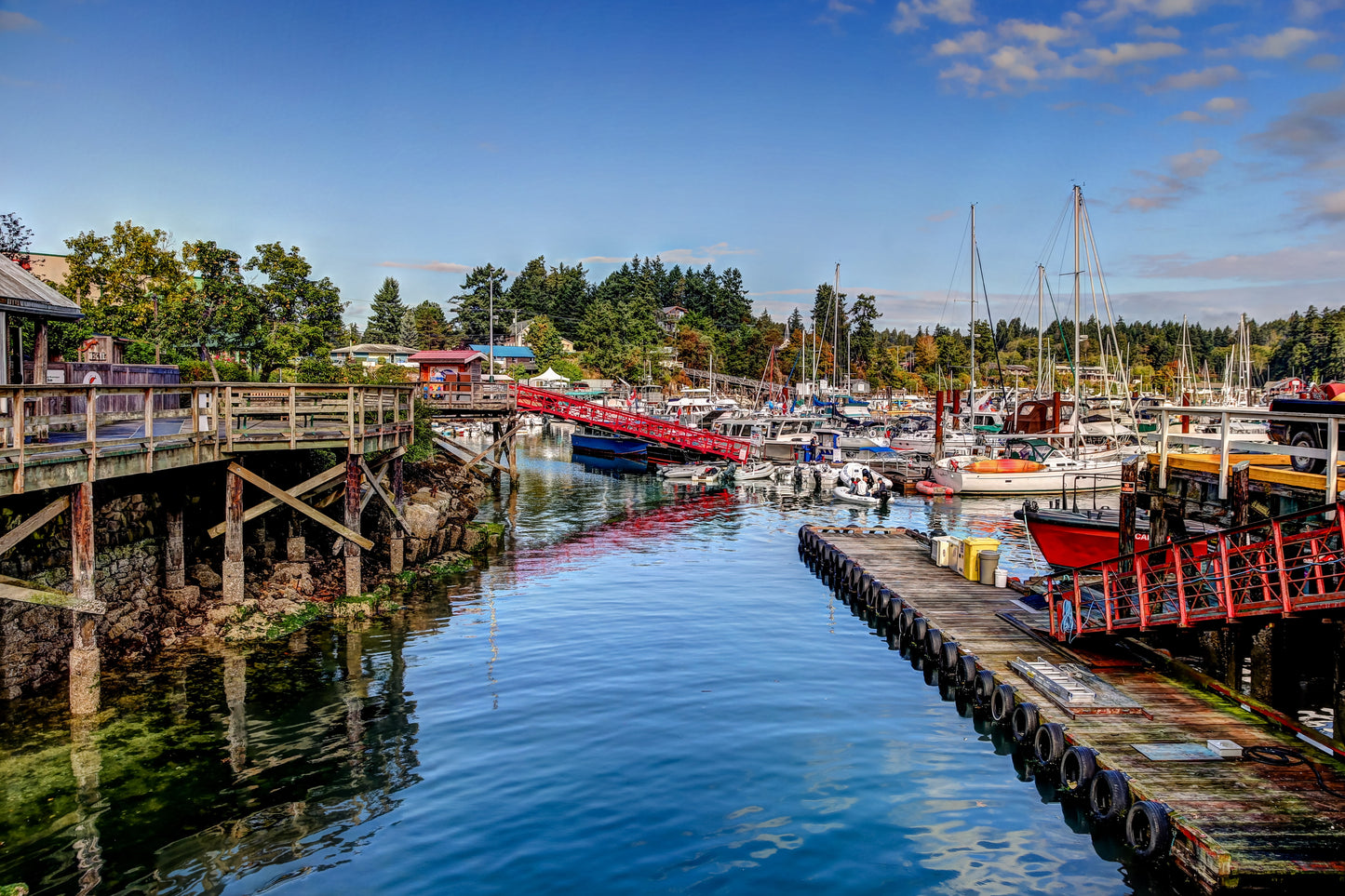 Explore Salt Spring Island | May 11 - 14, 2026 | Activity Level 3