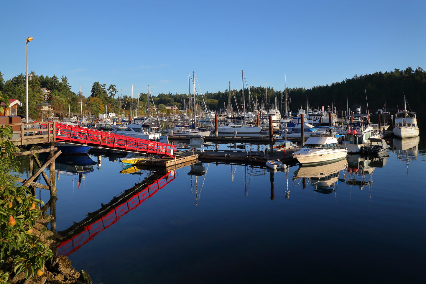 Thanksgiving on Salt Spring Island | October 12 - 15 | Activity Level 3