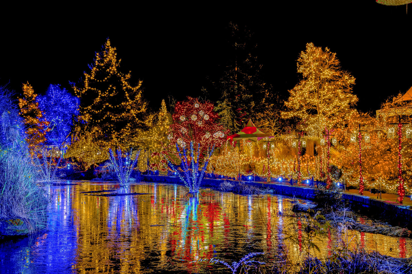 Holiday Magic in Vancouver: Christmas at the Wedgewood | December 24 - 27, 2026 | Activity Level 2