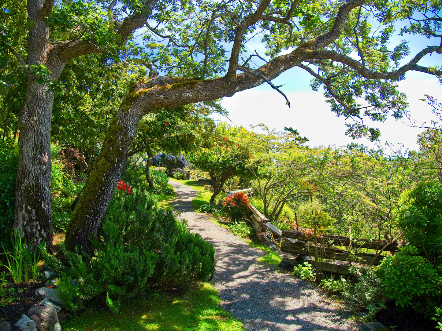 Spectacular Gardens of Victoria | June 2026 TBA | Activity Level 2