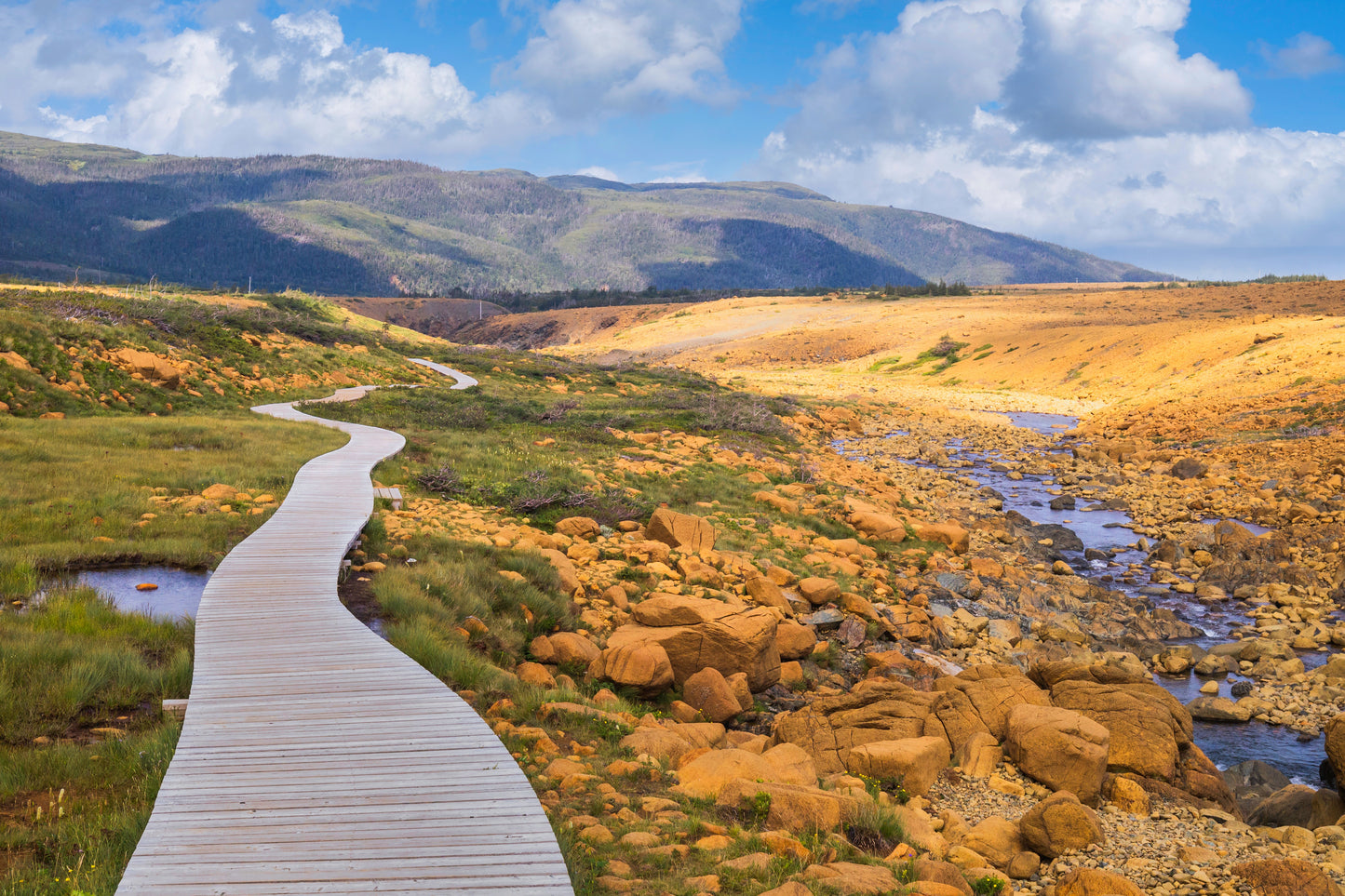 Newfoundland: An East Coast Adventure | June 8 - 23, 2027 | Activity Level 2