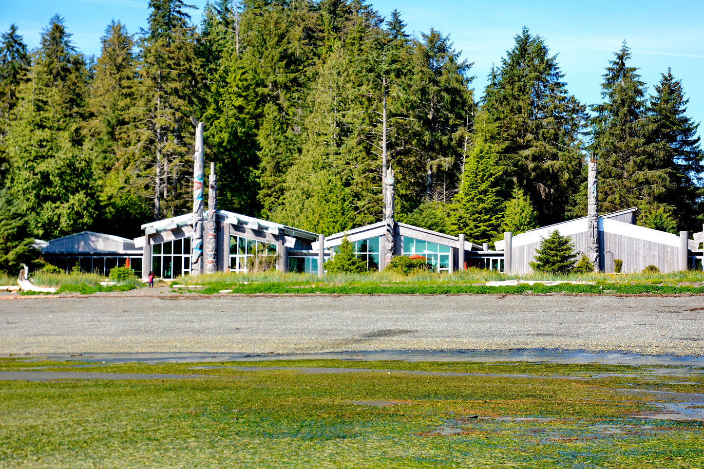 Haida Gwaii | July 3 - 9, 18 - 24, August 7 - 13, 2026 | Activity Level 3