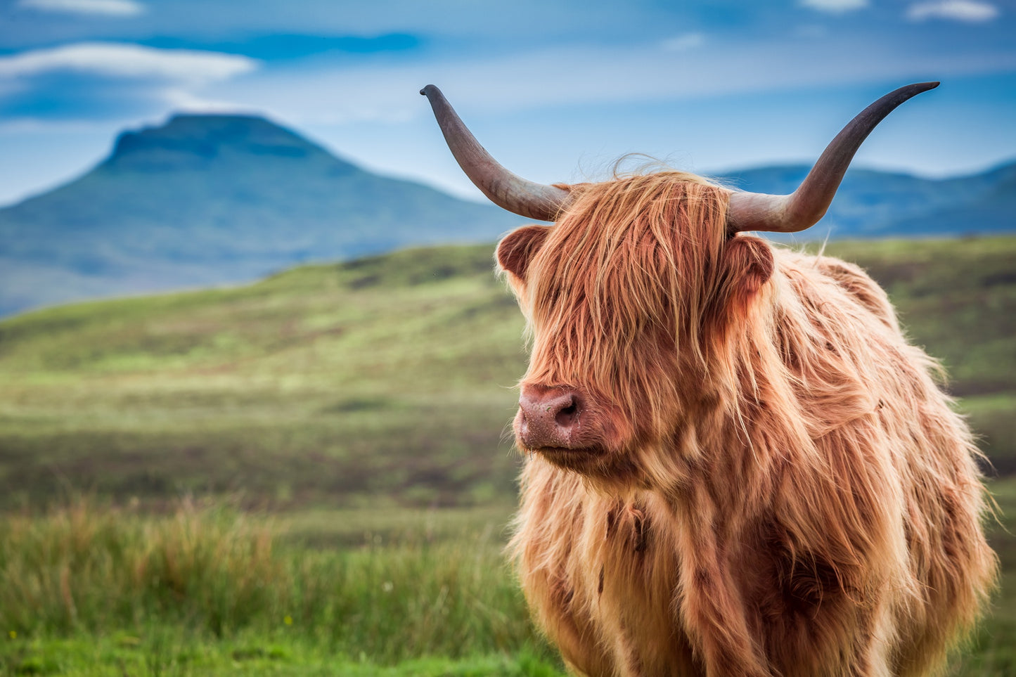 The Spirit of Scotland | September 14 - 24, 2027 | Activity Level 3
