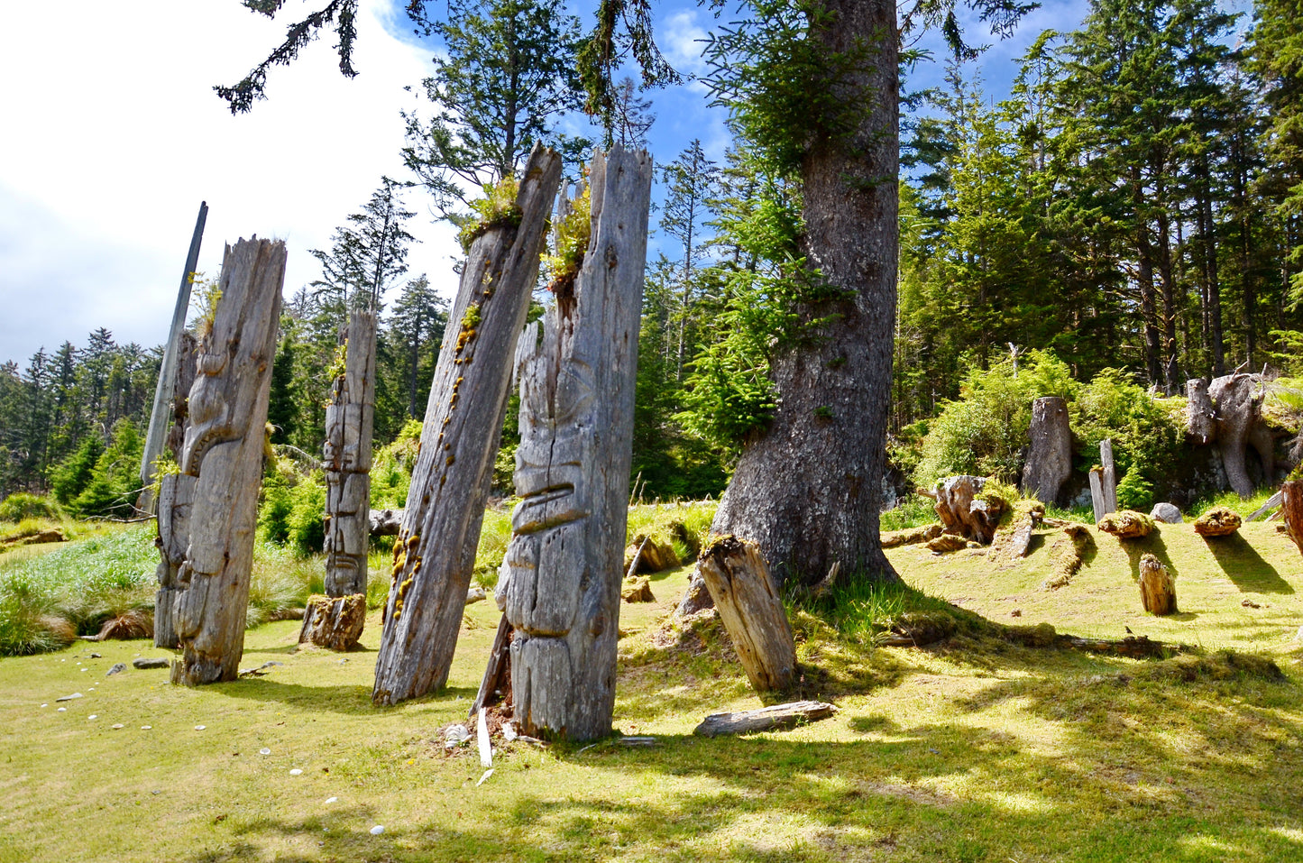 Haida Gwaii | July 3 - 9, 18 - 24, August 7 - 13, 2026 | Activity Level 3