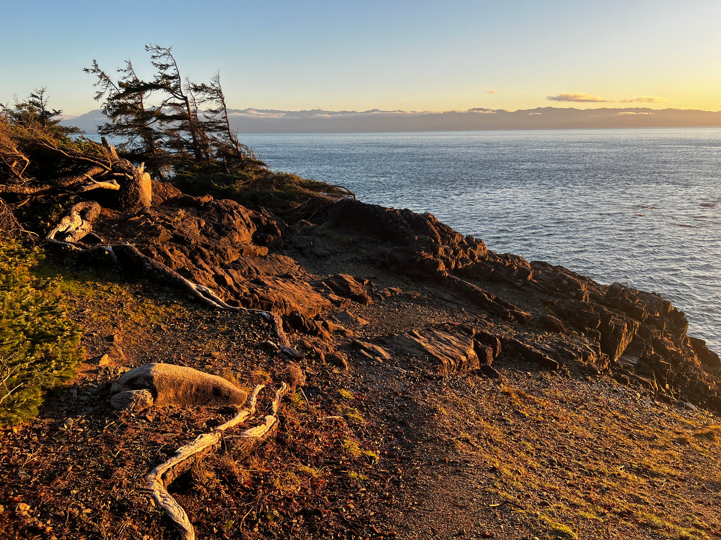 Coastal Retreat: Victoria & Sooke | November 12 - 16, 2026 | Activity Level 3