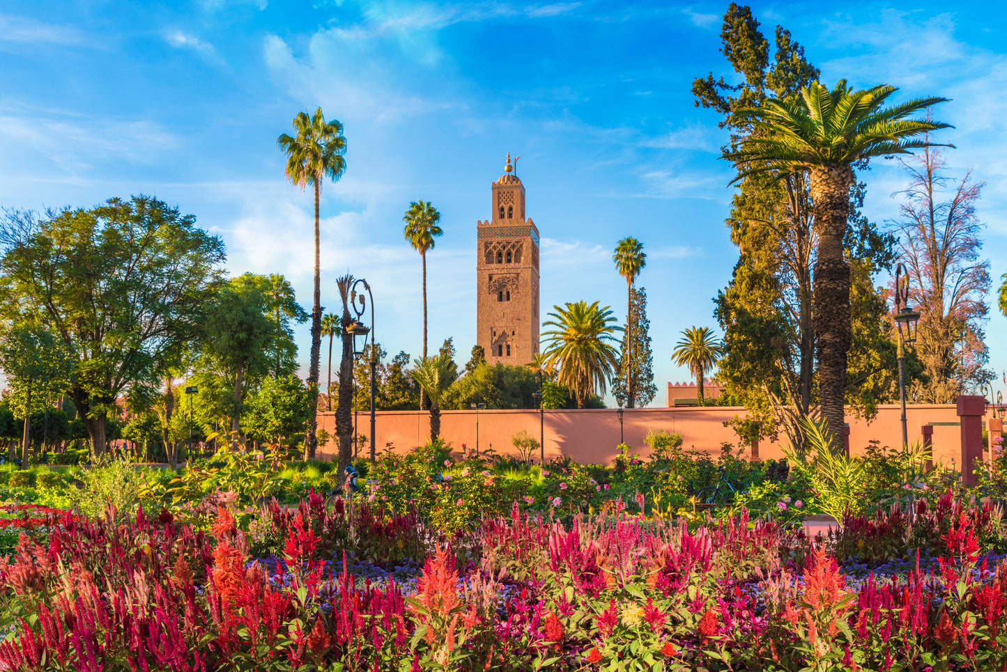 Gateway to Morocco | March 29 - April 12, 2027 | Activity Level 3