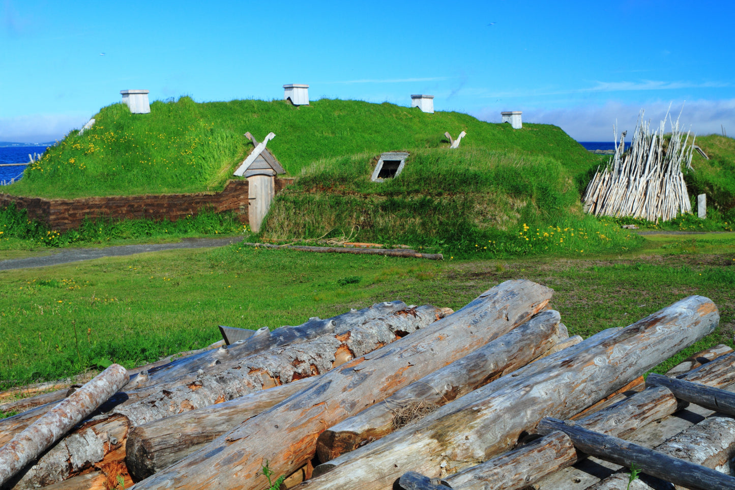 Newfoundland: An East Coast Adventure | June 8 - 23, 2027 | Activity Level 2