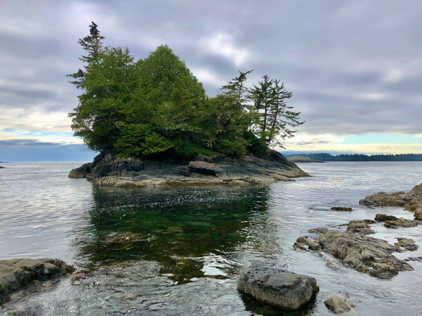 The Wild West Coast | June 8 - 12 | Activity Level 3