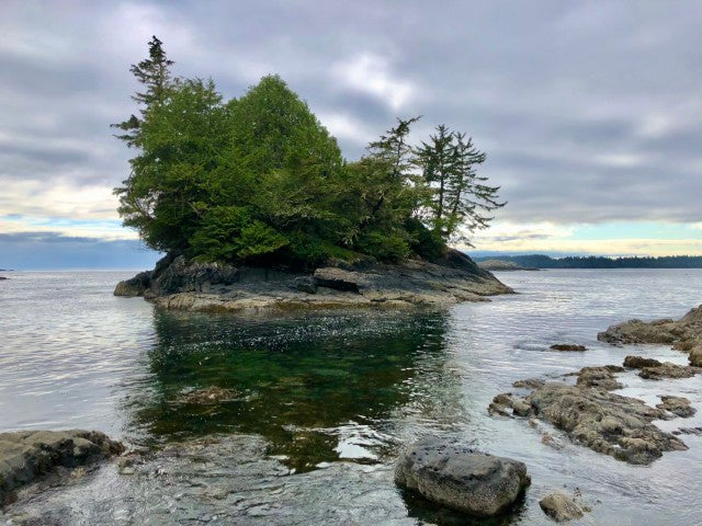 The Wild West Coast | June 8 - 12 | Activity Level 3