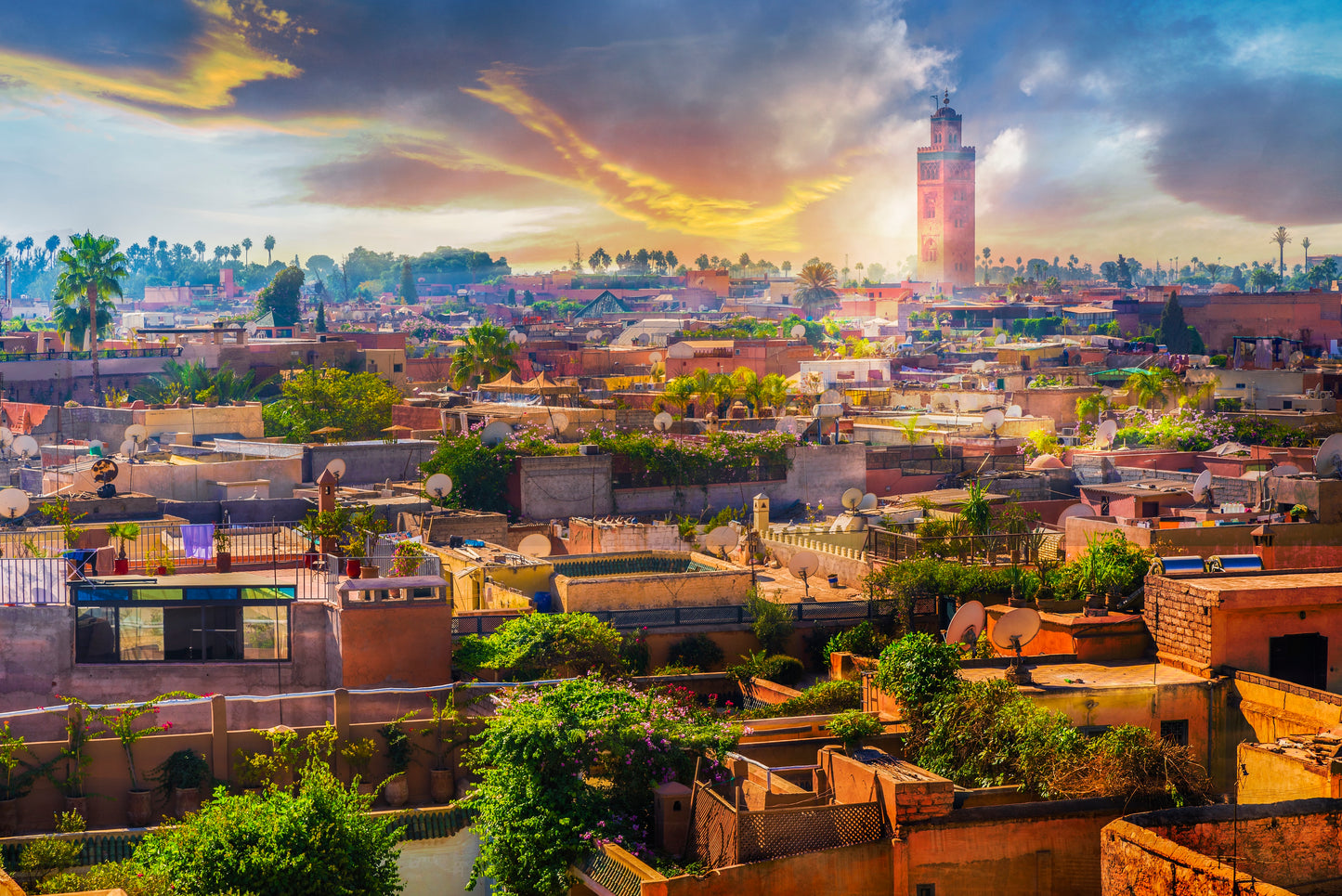 Gateway to Morocco | March 29 - April 12, 2027 | Activity Level 3