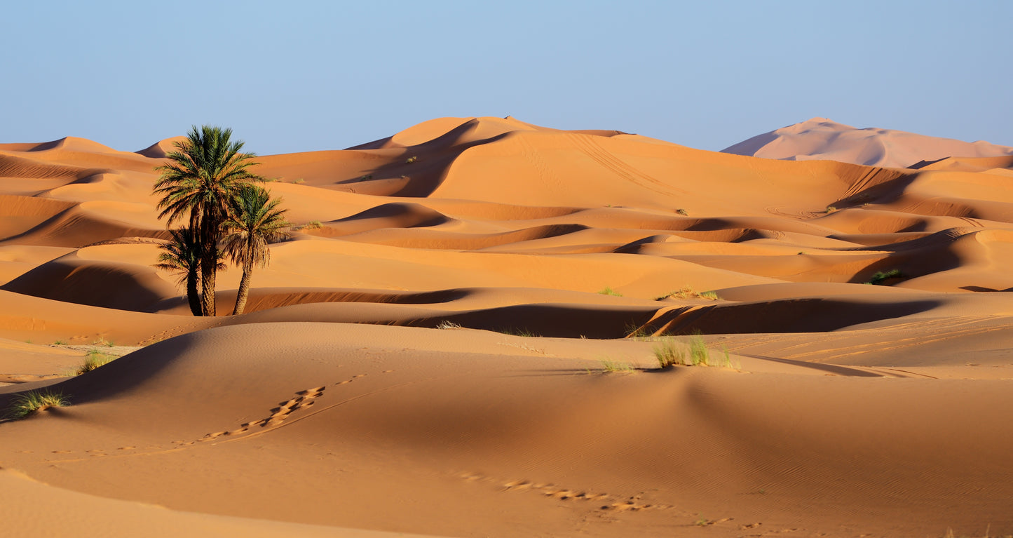 Gateway to Morocco | March 29 - April 12, 2027 | Activity Level 3