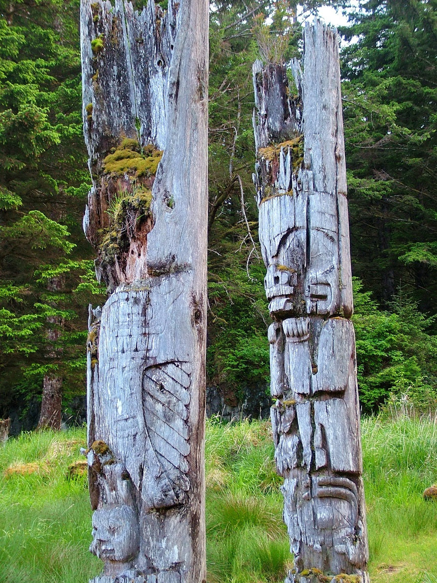 Haida Gwaii | July 3 - 9, 18 - 24, August 7 - 13, 2026 | Activity Level 3