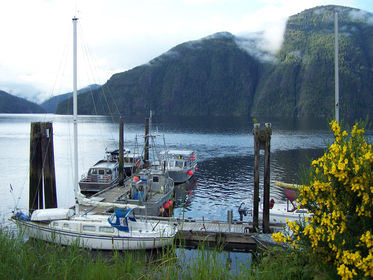 Outer Coast Adventure: Bamfield & Friendly Cove | August 12 - 16, 2026 | Activity Level 3