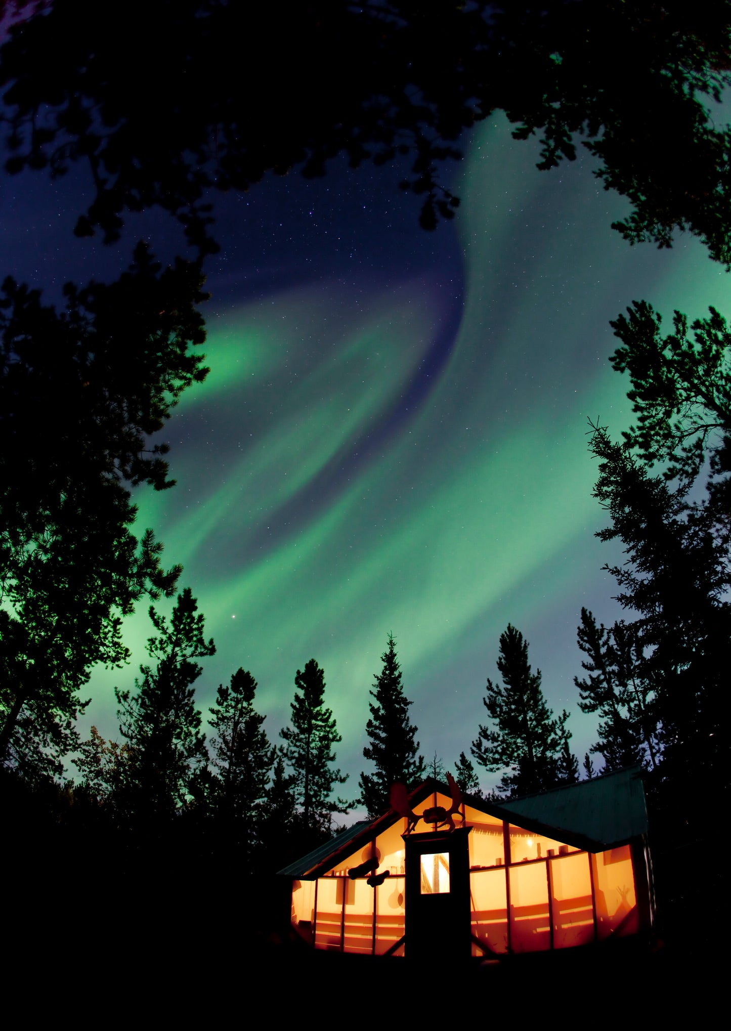 Yukon's Northern Lights | February 18 - 22, 2027 | Activity Level 2