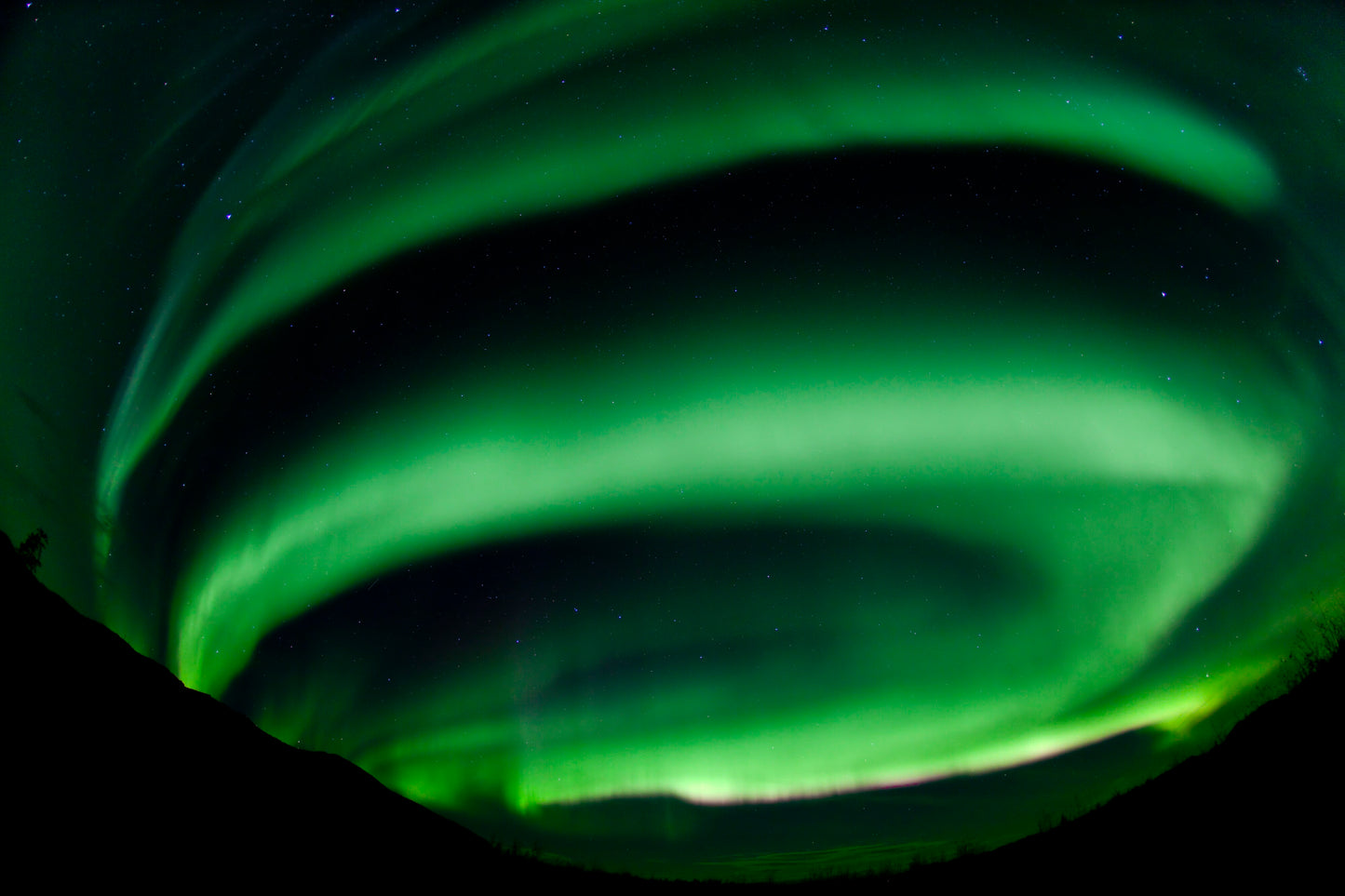 Yukon's Northern Lights | February 18 - 22, 2027 | Activity Level 2