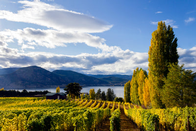 Kettle Valley Railway & Winery Tour | May 24 - 27, 2026 | Activity Level 1