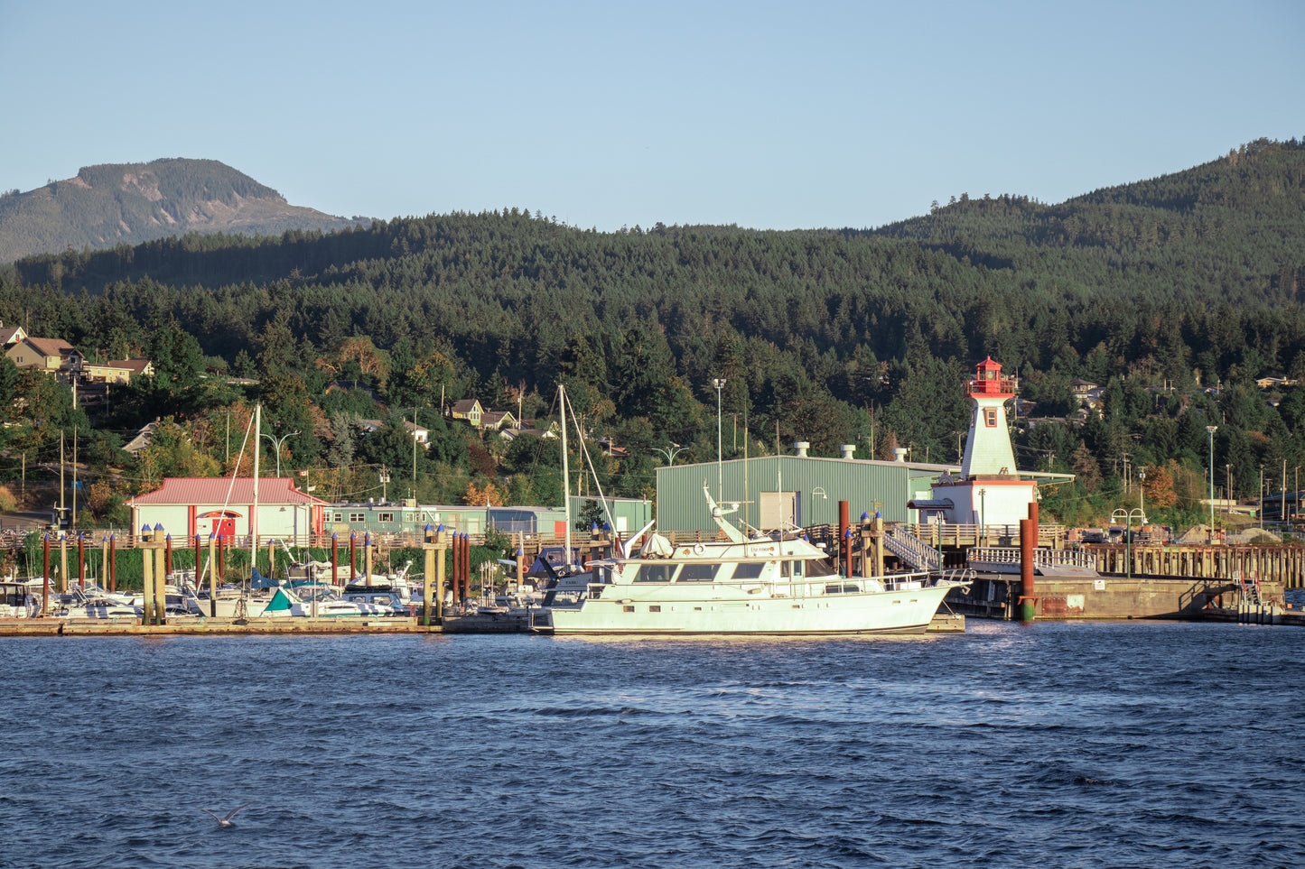 Outer Coast Adventure: Bamfield & Friendly Cove | August 12 - 16, 2026 | Activity Level 3