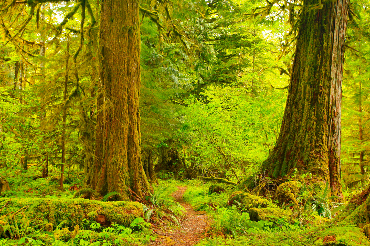 Discovery Coast Passage | September 18 - 22 | Activity Level 2