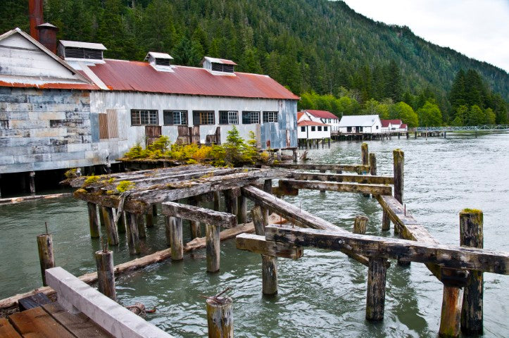 The Wandering Waterways & Rails of BC | August 8 - 14 | Activity Level 3